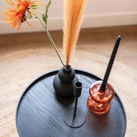 Modern Home, Pleasant And Neat Abel Apartment Tilburg