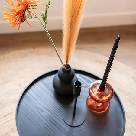Modern Home, Pleasant And Neat Abel 公寓 提耳堡