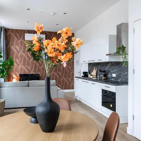 Modern Home, Pleasant And Neat Abel Apartment