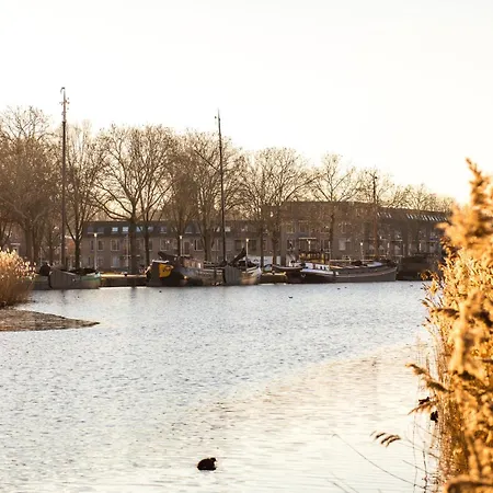 Modern Home, Pleasant And Neat Abel