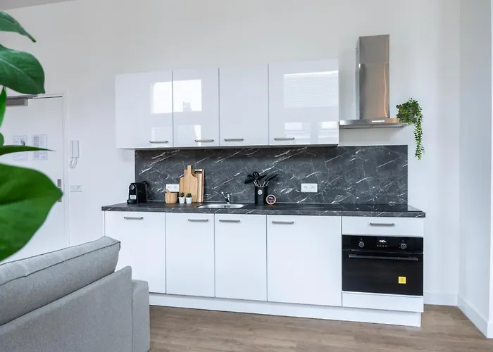 Apartament Modern Home, Pleasant And Neat Abel *