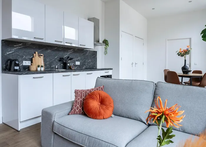 Modern Home, Pleasant And Neat Abel Tilburg