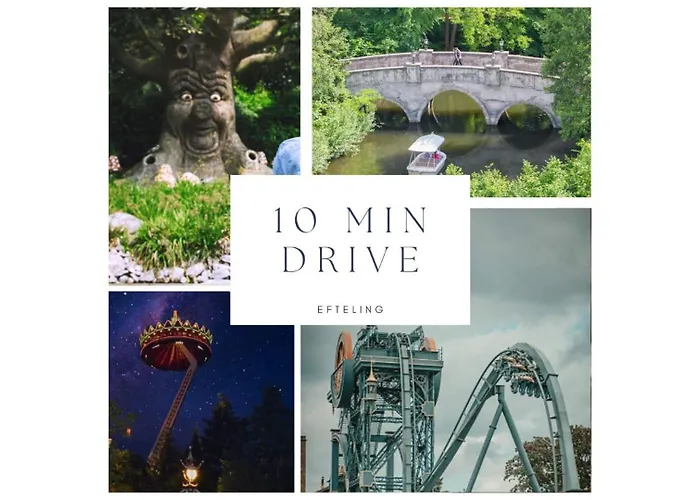 Modern Home, Pleasant And Neat Abel