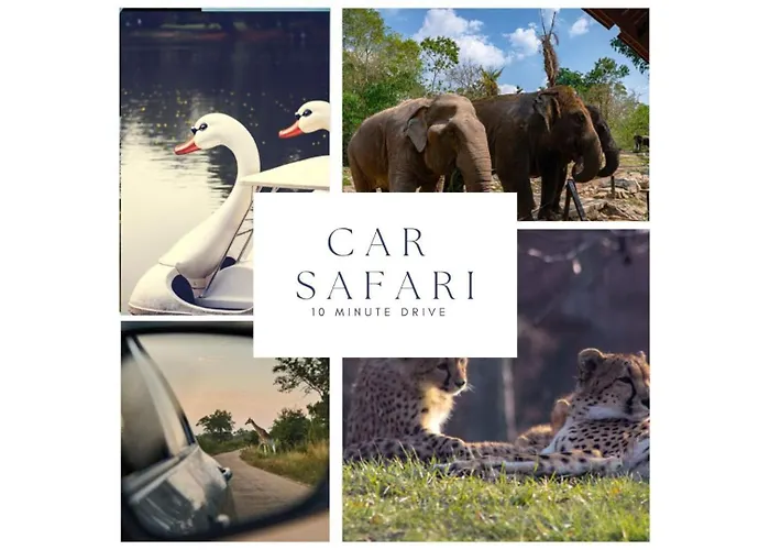 Apartament Modern Home, Pleasant And Neat Abel Tilburg