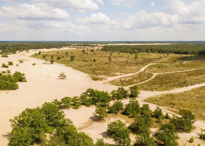 Modern Home, Pleasant And Neat Abel * Tilburg