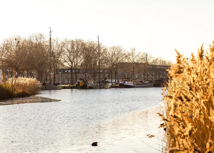 Modern Home, Pleasant And Neat Abel