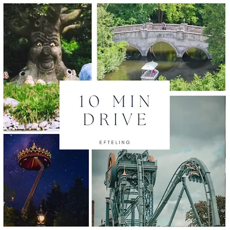 Modern Home, Pleasant And Neat Abel